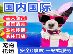 萨尔图航空物流国际宠物托运 【国